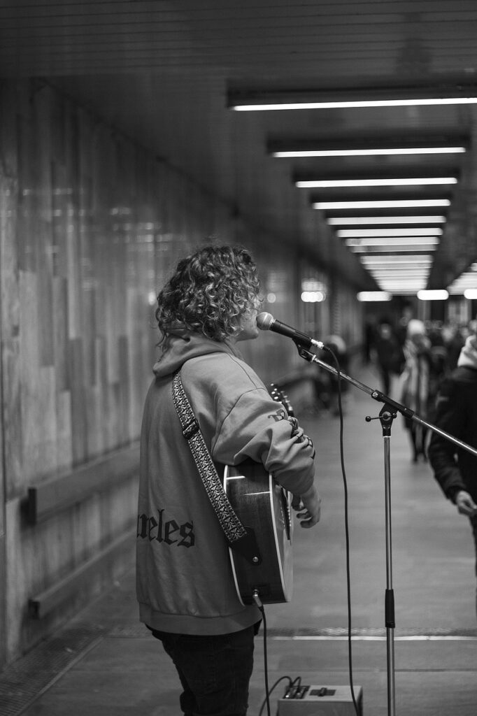 singer, music, guitar, guitarist, public, artist